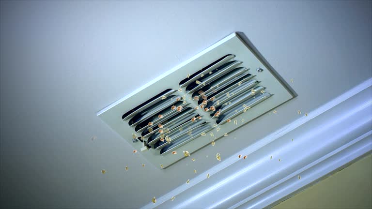 Best Commercial HVAC Duct Cleaning  in Pipestone, MN