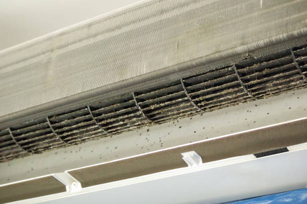 Best Ductwork Cleaning Services  in Pipestone, MN