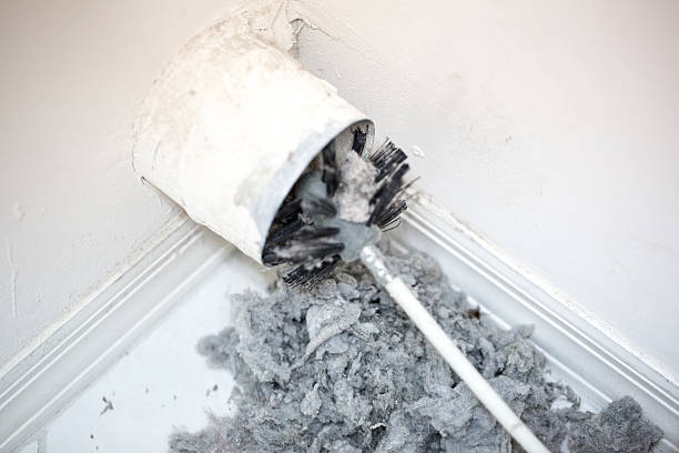 Best Dryer Vent Cleaning Services  in Pipestone, MN